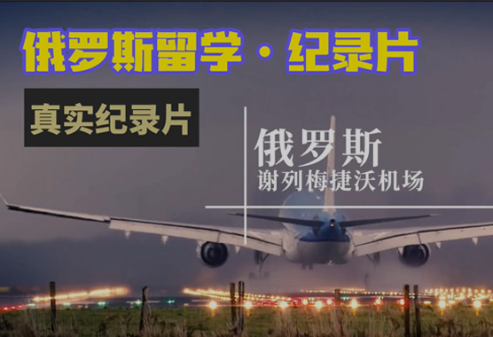 公司介绍