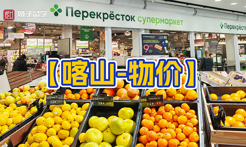 俄罗斯留学·喀山物价